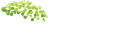 TreeDevelopment Logo White